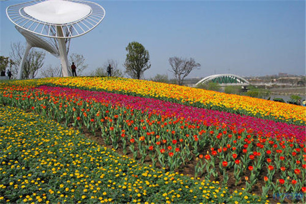 常州十大热门展馆排名:常州博物馆上榜,第7在大学内插图4 常州十大热门展馆排名:常州博物馆上榜,第7在大学内插图4