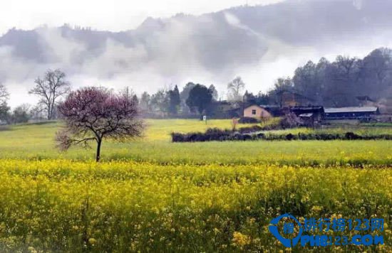 国内10大原始处女地排行榜插图2