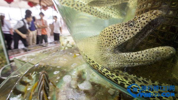 盘点国内十大最受吃货欢迎的海鲜圣地插图1