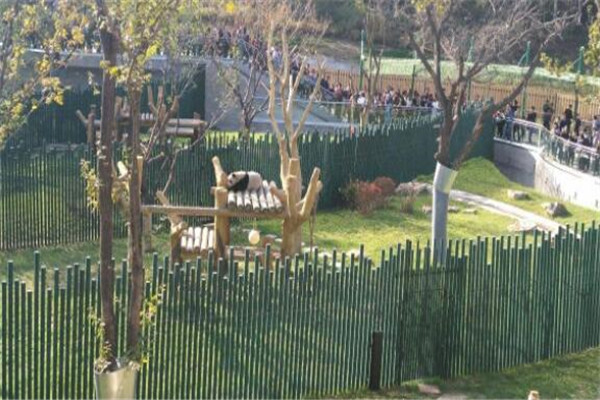 沈阳最好玩的地方推荐 沈阳好玩的地方排行榜插图3