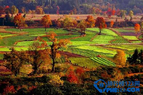 国内十大赏枫胜地排行榜插图1