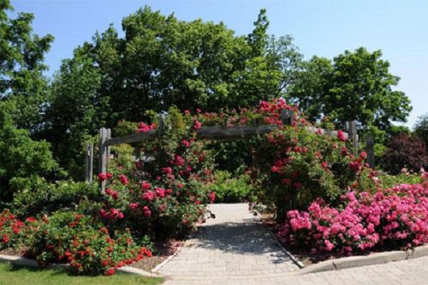 加拿大十大最受欢迎景点：惠斯勒上榜，第六以潮汐闻名插图8