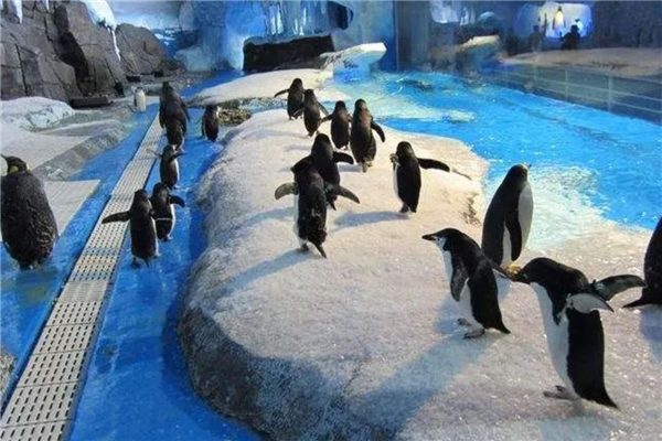 青岛五大度假胜地 八大关风景区建筑风格众多 崂山景观众多插图3