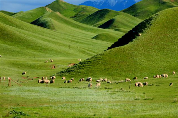 乌鲁木齐10大景点：南山牧场上榜，第一是著名的瑶池插图8