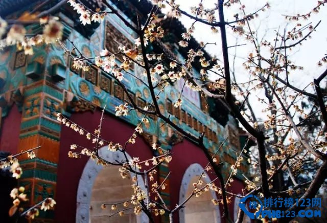 国内十大赏梅胜地插图7