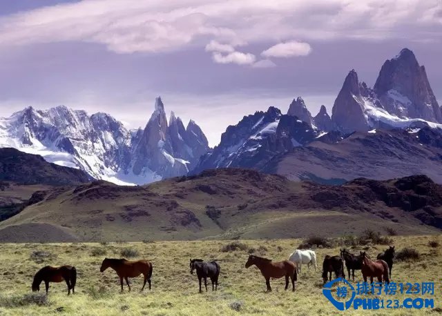 国内十大天然氧排行榜插图8