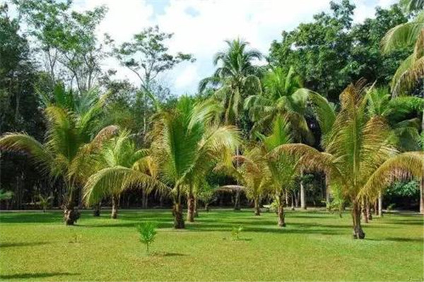 云南九大著名景点 昆明石林上榜 洱海是拍照圣地插图1