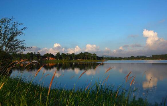 东莞好玩的地方排行榜 东莞十大最好玩的地方推荐插图