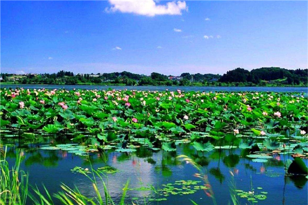 天津周边游景点推荐 百里峡地貌独特白洋淀风景区景色秀丽插图1