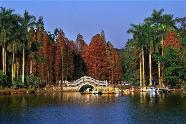 广东十大最好玩的景点 丹霞山特色长隆旅游度假区老少皆宜插图