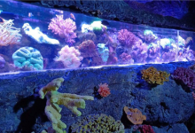 郑州网红景点排名 郑州方特水上乐园与城市之光极具特点|爱分享