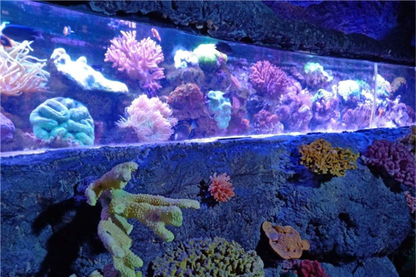 郑州网红景点排名 郑州方特水上乐园与城市之光极具特点插图8