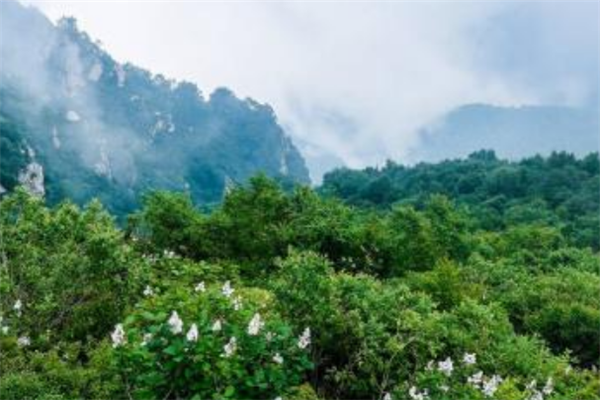 石家庄十大最美景点：五岳寨上榜，以自然景观为主插图6