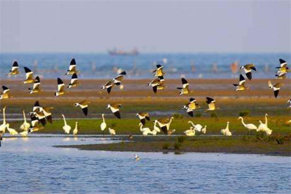 秦皇岛北戴河十大最好玩的景点：怪楼奇园上榜，第三是观鸟地插图2