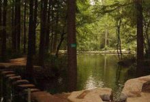 信阳好玩的地方排行榜 鸡公山风景区不去后悔|爱分享