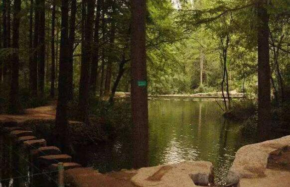 信阳好玩的地方排行榜 鸡公山风景区不去后悔插图3