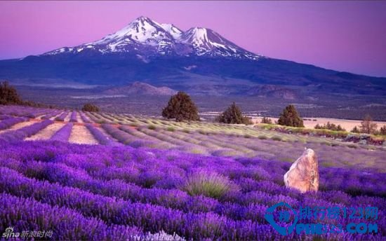 世界十大最美旅游景点 每个人都想去的世外桃源插图4