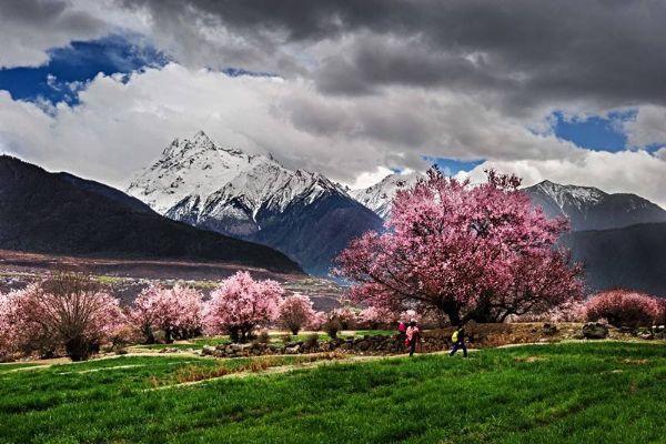 3-4月国内最佳旅游地排行榜 3-4月国内哪些地方旅游比较好插图5