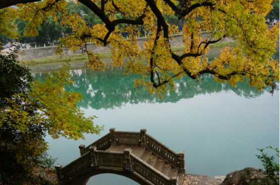 宁波十大旅游景点 天一阁推荐必去月湖公园颇受青睐插图5