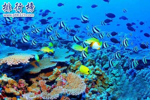 2018十大度假岛屿排名：三亚仅排第三名插图3