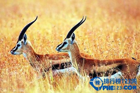 世界十大旅游禁地排行榜插图6