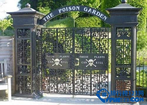 世界上令人惊讶的六大景观排行榜插图2