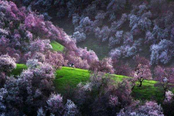 7-8月国内旅游最佳地排行榜 7-8月国内哪里旅游好插图4