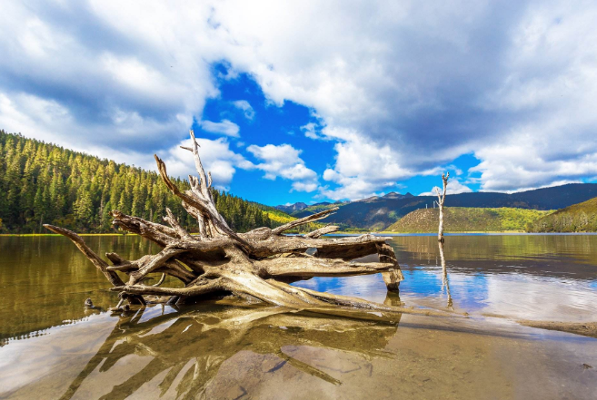 适合带小孩子旅游的地方 香格里拉上榜，长隆位列第一插图1