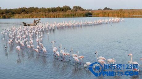 盘点法国鲜为人知的十处绝世美景插图