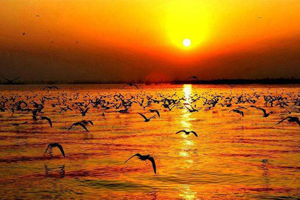 宁夏旅游必去十大景点 黄沙、湖泊与壁画，总有你想看的插图1