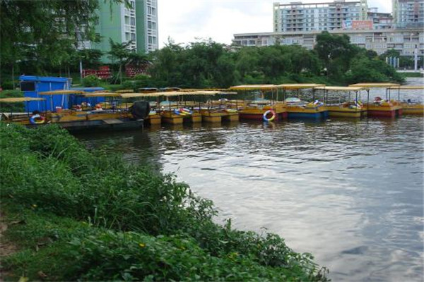 阳江十大公园广场排名:名树公园上榜,第2有网红花海插图5 阳江十大公园广场排名:名树公园上榜,第2有网红花海插图5