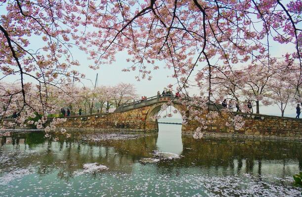 江苏十大景点排名 瘦西湖上榜 第一最为繁华插图7