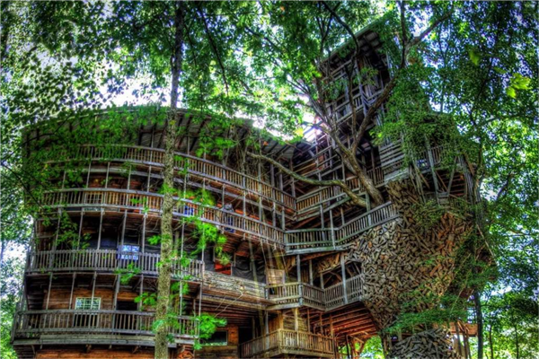 全球十大最美树屋 中国重庆七彩树屋建筑别致 巴厘岛树屋上榜插图1
