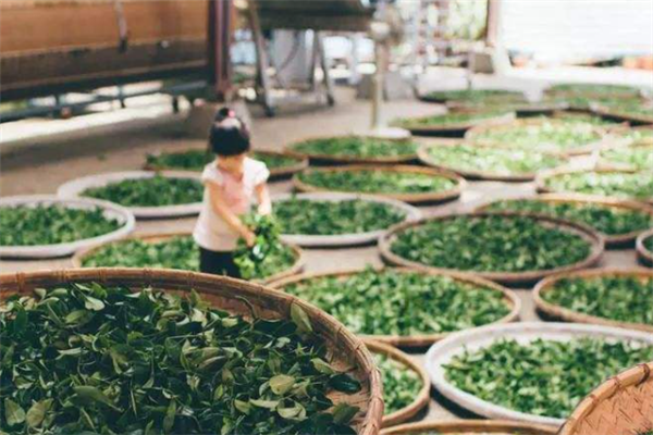 清远十大最好玩的景点：长湖上榜，第十是美丽的古寨插图6