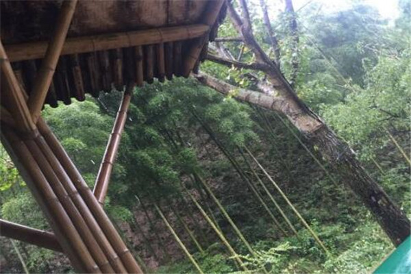 湖州好玩的地方排行榜 湖州最好玩的地方推荐插图3