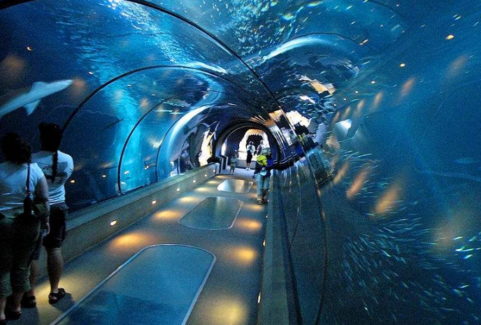 全球海洋馆排名 带你感受独特的海底世界插图5 全球海洋馆排名 带你感受独特的海底世界插图5