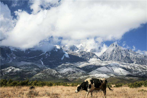 2020夏季爬山好去处 崂山景色秀美 长白山避暑圣地插图5