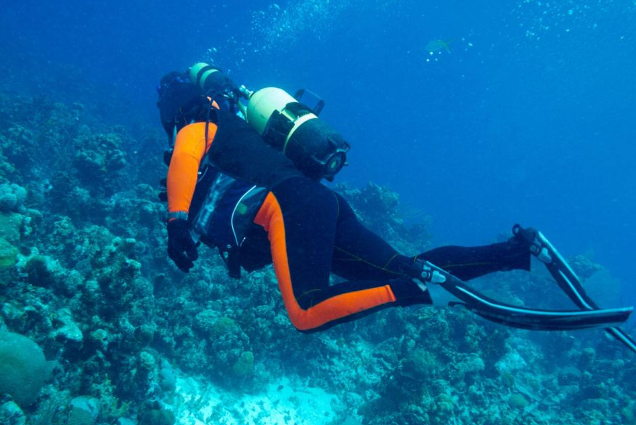 全球十大潜水地排行 带你进入全新的世界，你想要去吗插图3