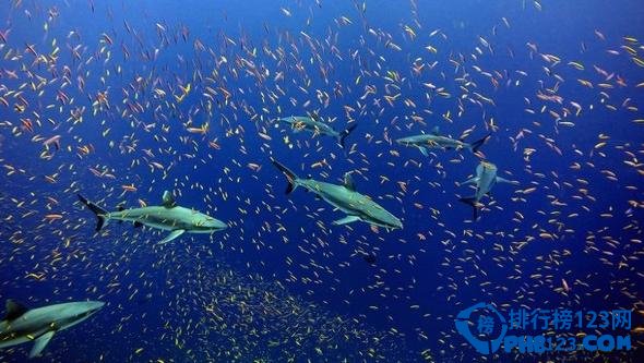 世界十大最美自然保护区排行榜 世界最美自然保护区插图2