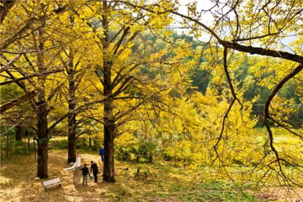 永州十大旅游景点 这些景点都很好玩值得一去插图3