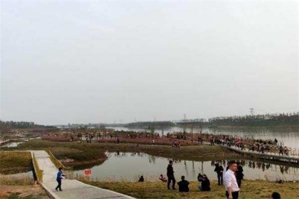 焦作十大风景名胜排行榜：青龙峡景区上榜，第四有玻璃栈道插图2