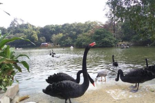 南宁十大最值得去的景点：民歌湖上榜，第二有千年历史插图2