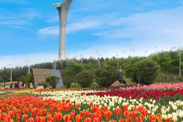 沈阳十大受欢迎的景点：沈阳故宫上榜，它因怪而闻名插图1