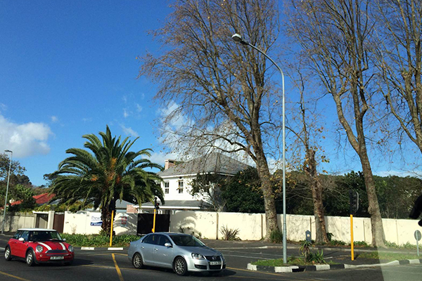 南非十大必去景点:南非不止有钻石还有美景和憨态可掬的企鹅插图4