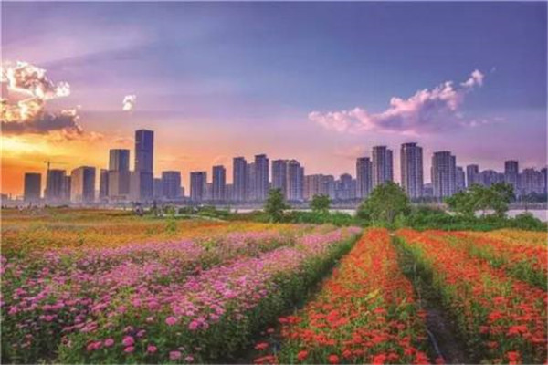 福州十大公园广场排名:西湖公园上榜，第8花海超美插图7