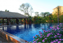 从化十大温泉排行榜：仙沐园温泉上榜，你去过没|爱分享