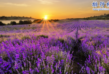 中国十大小众但绝美的旅游地点,低调得可怕|爱分享