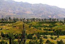 中国最著名十大陵墓 西夏王陵历史悠久，明十三陵上榜|爱分享