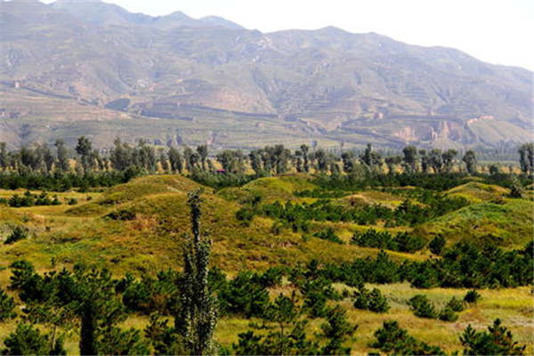 中国最著名十大陵墓 西夏王陵历史悠久，明十三陵上榜插图9