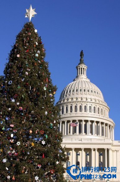 全球最美的十四大圣诞树排行榜插图4